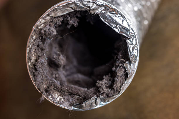 Best Affordable HVAC Duct Cleaning  in Farmland, IN