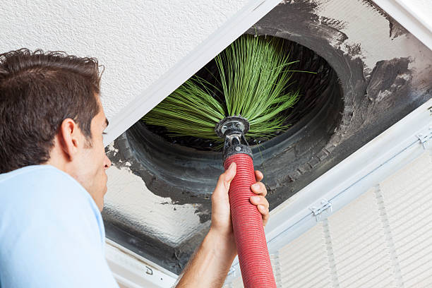 Best Local Air Duct Cleaning Services  in Farmland, IN